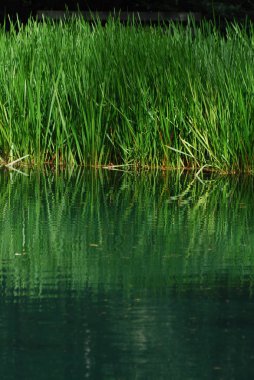 Lago di Braies - Pragser Wildsee, South Tyrol, Dolomites, İtalya