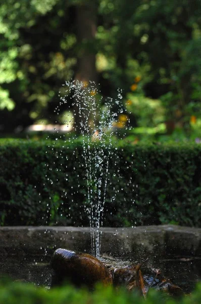 Tuin in Innsbruck, Oostenrijk — Stockfoto