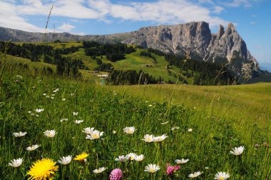 Seiser Alm Alpe di Siusi, Dolomites, Trentino-Alto Adige, İtalya.