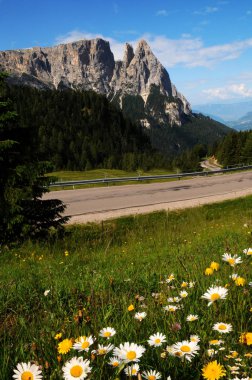 Seiser Alm Alpe di Siusi, Dolomites, Trentino-Alto Adige, İtalya.