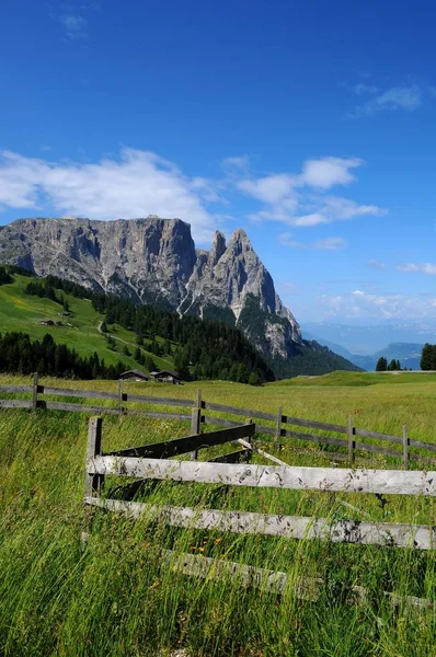 Sciliar from Seiser Alm Alpe di Siusi, Dolomites, Trentino-Alto Adige, Italy. — Stock Photo, Image