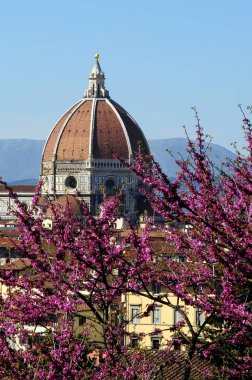 Santa Maria Del Fiore Piazzale Michelangelo Florence, Toskana, İtalya'dan görüldüğü gibi Katedrali