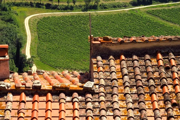 Blick auf die Weinberge vom Dorf Nipozzano in der Nähe von Florenz in Chianti, Toskana, Italien — Stockfoto