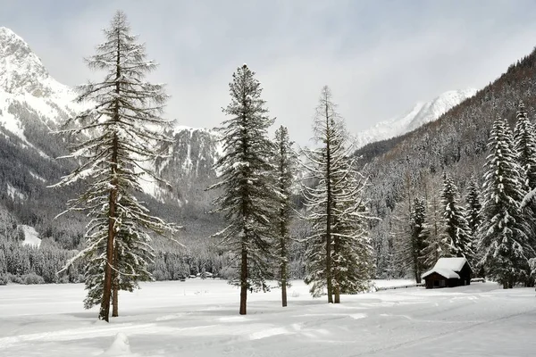 Zimní krajina a zimní les Antholz jezero, Italské Alpy, Jižní Tyrolsko, Itálie. — Stock fotografie