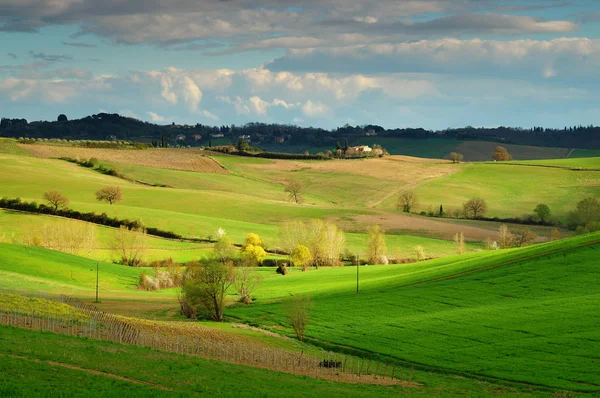 Prachtige Toscaanse landschap in de buurt van Castellina in Chianti, Siena. Italië. — Stockfoto