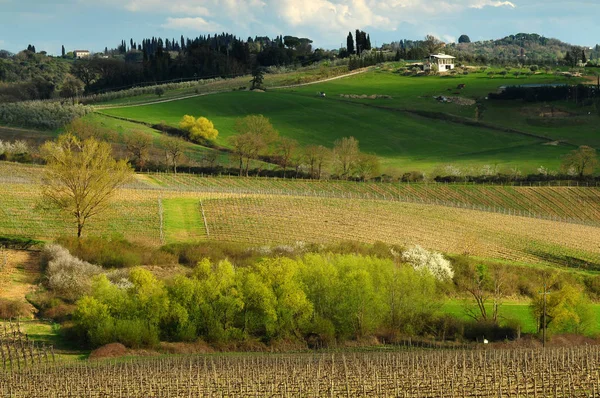 Bellissimo paesaggio toscano vicino Castellina in Chianti, Siena. Italia . — Foto Stock