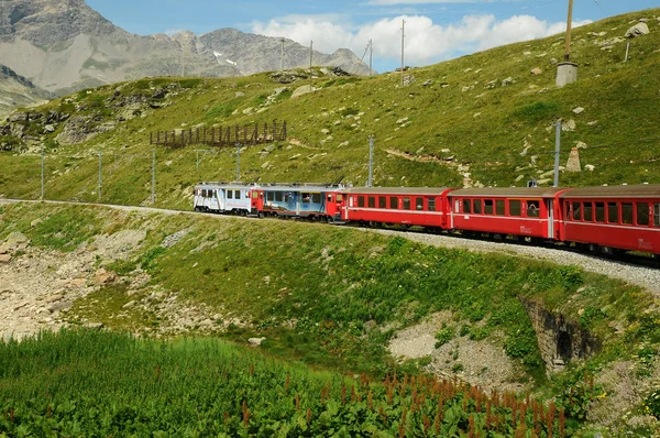 Szwajcaria: lipca 2012, Swiss mountain pociąg Bernina Express w lecie — Zdjęcie stockowe
