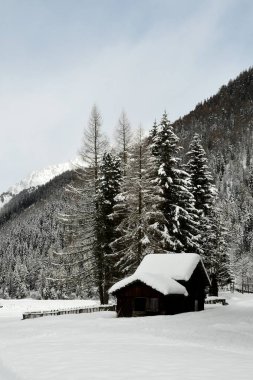 Kış manzarası ve kış orman Antholz Gölü, İtalyan Alpleri, Güney Tirol, İtalya.