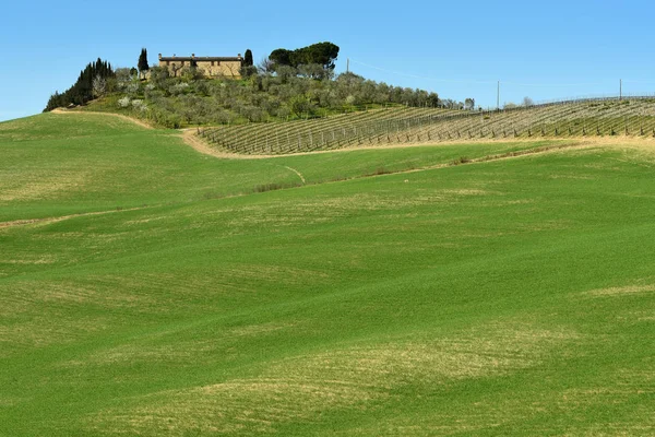 San Quirico D'Orcia, Toskanii / Włochy – 31 Marz 2017: Tuscany krajobraz wiosną, hodowli dom z wzgórz i winnic, Val d'Orcia, niedaleko San Quirico d'Orcia. Położony w mieście Siena. — Zdjęcie stockowe