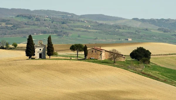Pienza, Toscana / Italien - 31 Mar 2017: vackra tuscany landskap, lilla kapellet Madonna di Vitaleta, Pienza, Siena, Italien. — Stockfoto