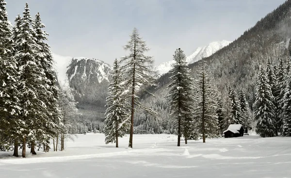 Zimní krajina a zimní les Antholz jezero, Italské Alpy, Jižní Tyrolsko, Itálie. — Stock fotografie