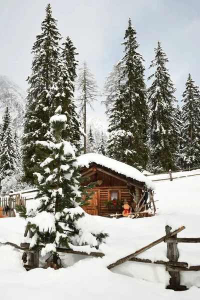 Almhütte im Winter in den Alpen. Winterlandschaft in Waldnähe Antholzer See Antholz, Südtirol, Italien — Stockfoto