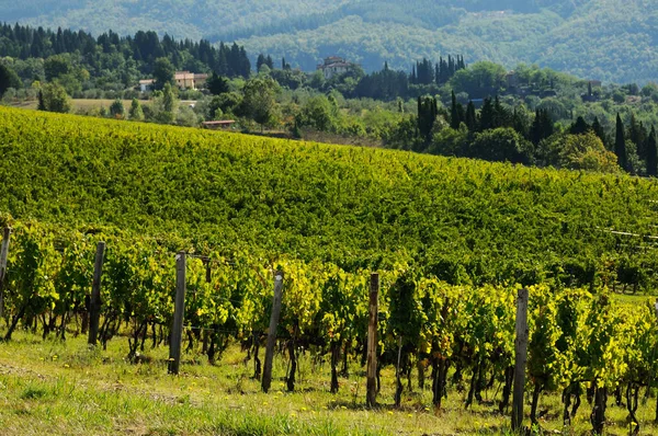Winnica w Toskanii, Chianti, Włochy. — Zdjęcie stockowe