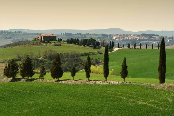 San Quirico D'Orcia, Τοσκάνη / Ιταλία - 31 Mar 2017: τυπικό τοπίο της Τοσκάνης κοντά σε San Quirico d'Orcia, με πράσινο λόφους και κυπαρίσσια. βρίσκεται στην εξοχή της Σιένα. Ιταλία. — Φωτογραφία Αρχείου