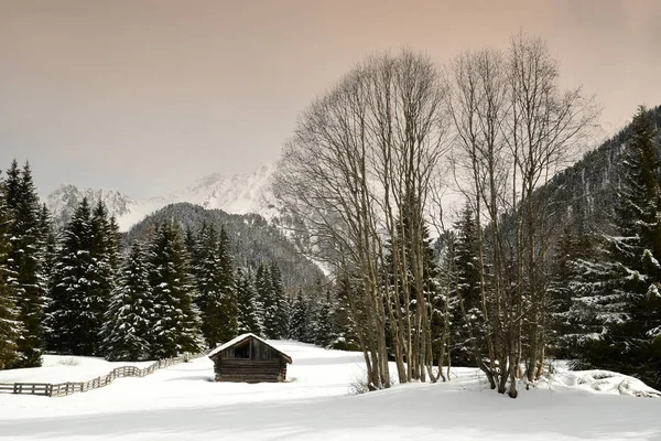 Dolomites'in Alpin kulübeleri. Brunico yakınındaki Val Pusteria kışın. İtalya. — Stok fotoğraf