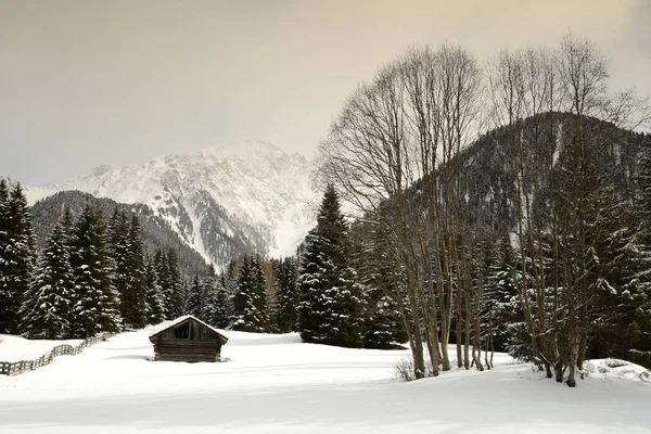 Alpin chaty v Dolomitech. Zima v Val Pusteria, poblíž města Brunico. Itálie. — Stock fotografie