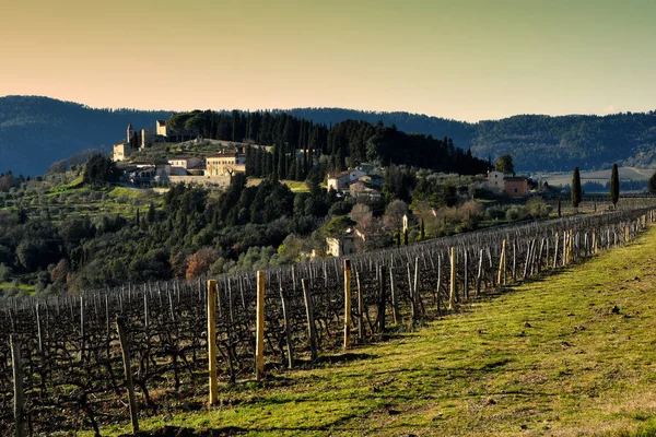 Winnice Chianti i małe wioski Nipozzano na tle, Toskania, Włochy — Zdjęcie stockowe