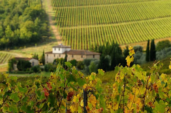 Winnica w regionie Chianti, Toskania, Włochy. — Zdjęcie stockowe
