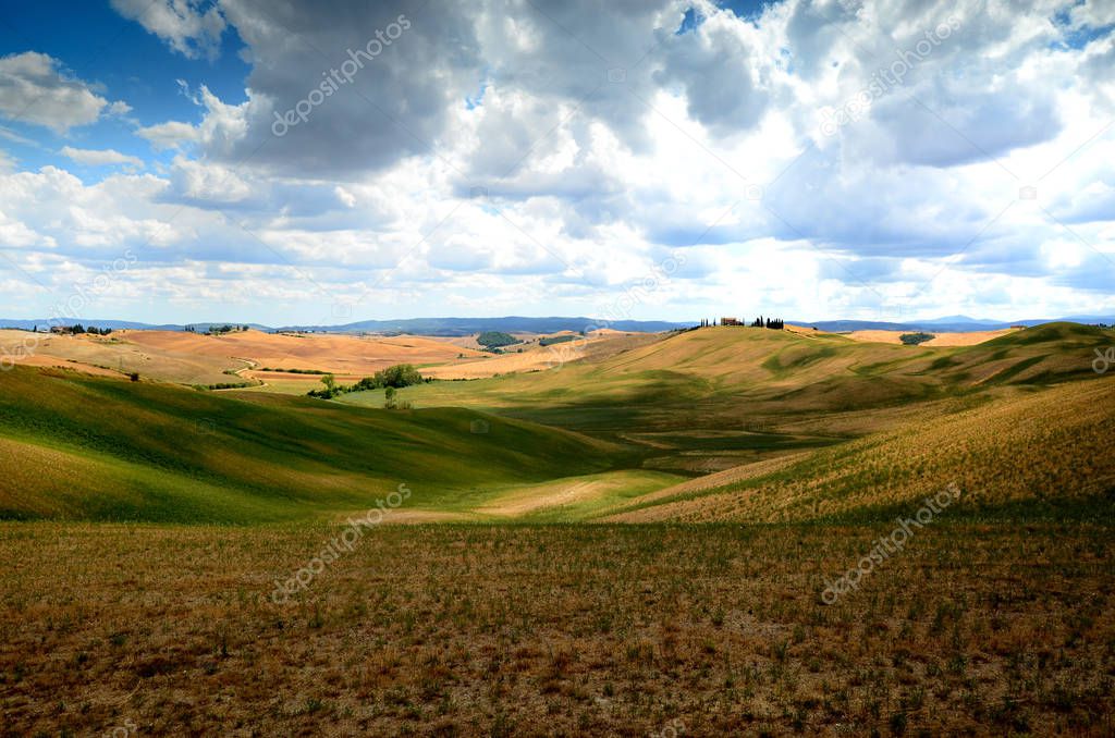 Landscape near Asciano Siena. gold wheat field and blue cloudy sky. Tuscany, Italy.