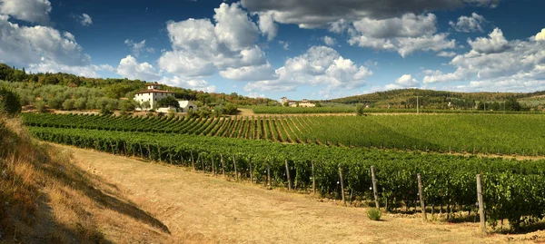 12 de agosto de 2017: Bela paisagem de Vinhedos na Toscana. Farm House perto da aldeia de San Donato (Florença). Região de Chianti, Itália . — Fotografia de Stock