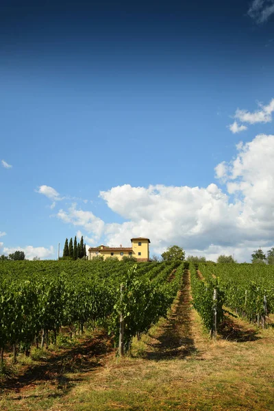 Piękne winnice w Toskanii z Farm House, Włochy — Zdjęcie stockowe
