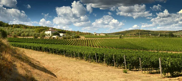 Piękny krajobraz winnice w Toskanii. Farm House, w pobliżu miejscowości San Donato (Florencja). Położony w regionie Chianti, Włochy. — Zdjęcie stockowe