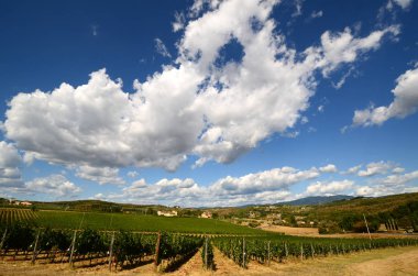 Mavi gökyüzü ile Toskana güzel yeşil bağlar. Floransa yakınındaki Chianti bölgesinde yaz sezonu, İtalya.