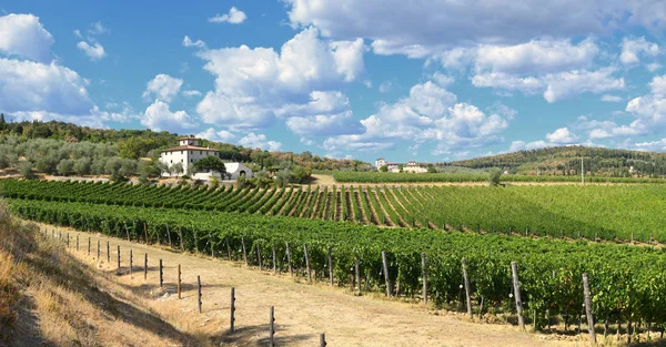 12 August 2017: Beautiful landscape of Vineyards in Tuscany. Farm House near San Donato village (Florence). Chianti region, Italy. — Stock Photo, Image