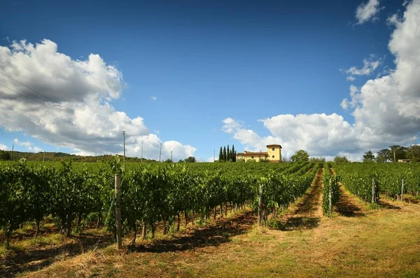 12 augusti 2017: vacker vingård med blå molnig himmel i Chianti-regionen. Belägna nära Florens, Toscana. Italien — Stockfoto