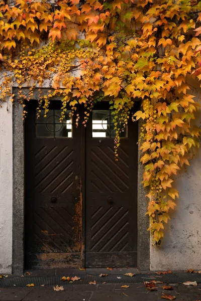 Stare drzwi z czerwonych i żółtych liści, w centrum miejscowości Bressanone. Bolzano, Włochy. — Zdjęcie stockowe