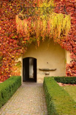 Red leaves at Abbey of Novacella, south tyrol, Bressanone, Italy. The Augustinian abbey of Novacella (Augustiner-Chorherrenstift Neustift in German), in the municipality of Varna, in the immediate vicinity of Bressanone, (Bolzano). Italy.  clipart