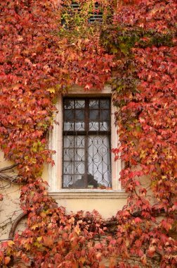 Kırmızı Novacella Abbey, south tyrol, Bressanone, İtalya bırakır. Novacella (Almanca Augustiner-Chorherrenstift Neustift), Varna'nın hemen yakınında bir Bressanone, (Bolzano) belediyesinde Augustinerinnen manastıra. İtalya. 