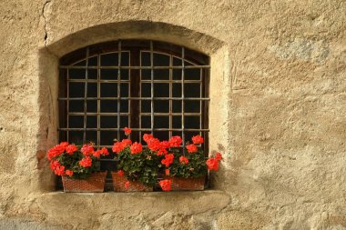 Windows, Bressanone merkezinde kırmızı çiçekli / Brixen. South Tyrol, İtalya.
