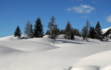 Kış manzara San Pellegrino adlı geçmek İtalyan Dolomites, Val di Fiemme, Trento, İtalya.