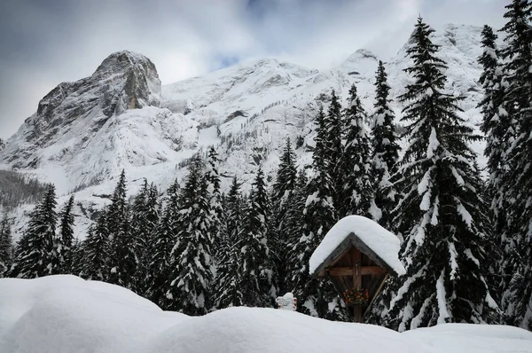 Jehličnatého Lesa Velké Sněžení Italských Dolomitech Poblíž Canazei Trentino Alto — Stock fotografie