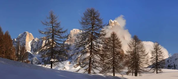 Grupo Dolomitas Pale San Martino Com Céu Azul Nublado Famoso — Fotografia de Stock