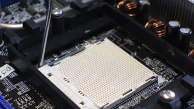 Teknisyen Cpu mikroişlemci anakart soketine takın. 4k, Ultra Hd, Hd video