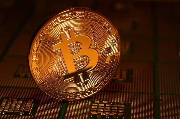 Bitcoin Phisical Oro Sobre Procesadores Cpu Alineados Fondo Criptomoneda — Foto de Stock