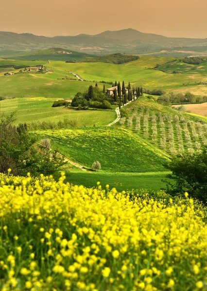 Ιταλία Pienza 2018 Απριλίου Όμορφο Τοσκανικό Τοπίο Καταπράσινους Λόφους Στο — Φωτογραφία Αρχείου