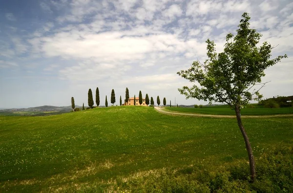 Pienza Itálie Duben 2018 Statek Villa Jsem Cipressini Toskánsku Kopci — Stock fotografie