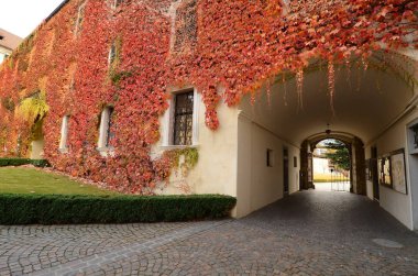 Red leaves at Abbey of Novacella, south tyrol, Bressanone, Italy. clipart