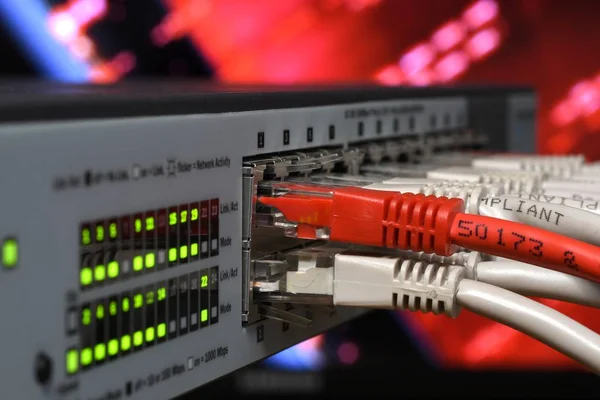 Detalle Luces Conmutador Red Cables Ethernet Rj45 Concepto Centro Datos — Foto de Stock