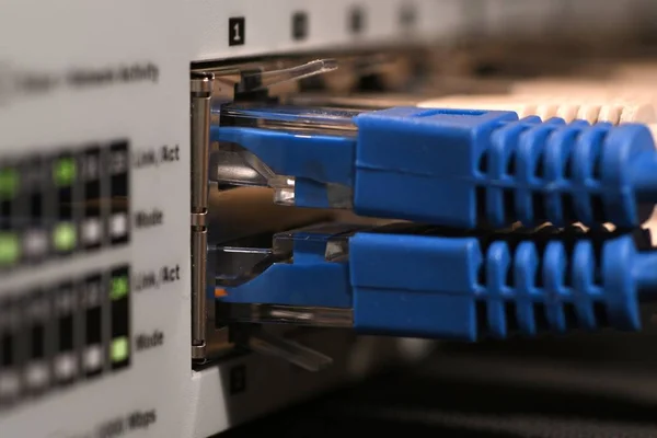Rincian Lampu Pada Saklar Jaringan Dan Kabel Ethernet Rj45 Konsep — Stok Foto