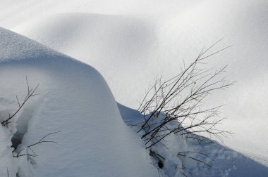 Val di Fiemme, Trento, İtalya 'daki Dolomitlerdeki San Pellegrino geçidinde kış sahnesi.