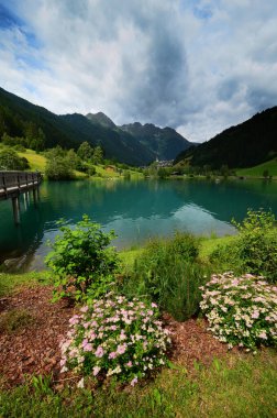 Önünde çiçekler olan güzel Lappago Gölü, Val Pusteria Güney Tyrol (Bz) İtalya