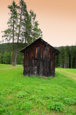 Sesto Pusteria yakınlarında ahşap kulübe ve karaçam. İtalya 'da Güney Tyrol.