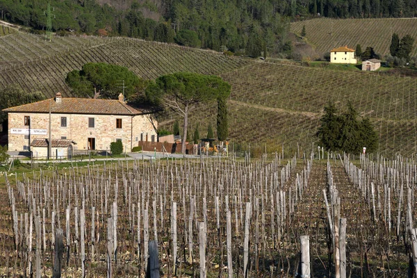 Greve Chianti March 2020 Farmhouse Castello Vicchiomaggio Rows Vineyards Chianti — Zdjęcie stockowe