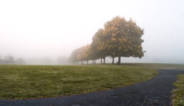 Bir park ağır yoğun sis