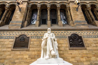 Londra, İngiltere - 25 Temmuz 2017: Doğal Tarih Müzesi, Charles Darwin Mermer heykel
