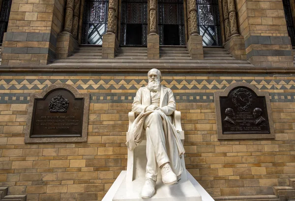 London, Großbritannien - 25. Juli 2017: die Marmorstatue von Charles Darwin im Naturkundemuseum — Stockfoto